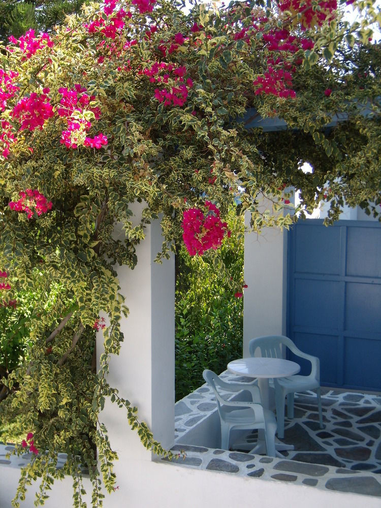 Panorama Paros Hotel Buitenkant foto